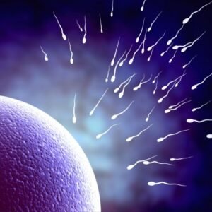 Sperm problems – Oligospermia/ Azoospermia/ Lows sperm motility Treatment